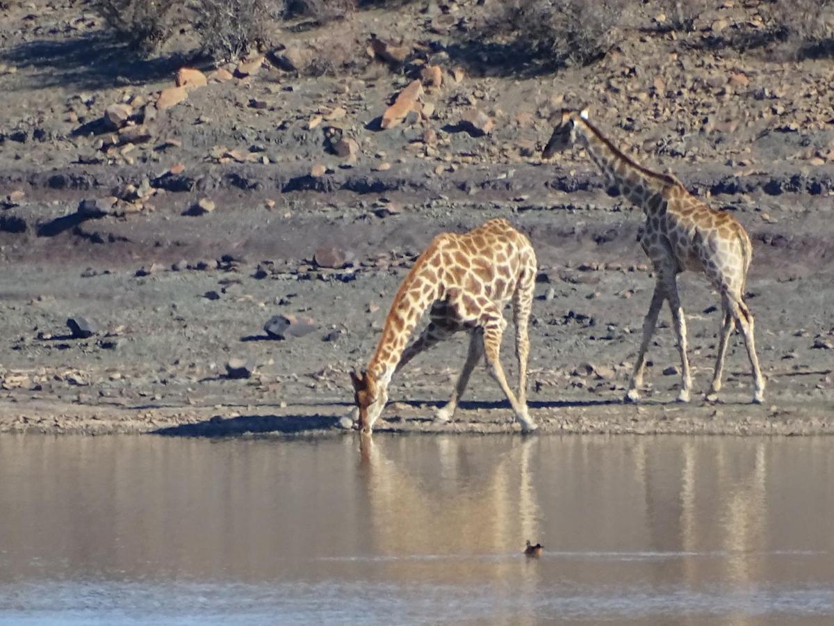 Teri-Lemveli Lodge Beaufort West Bagian luar foto