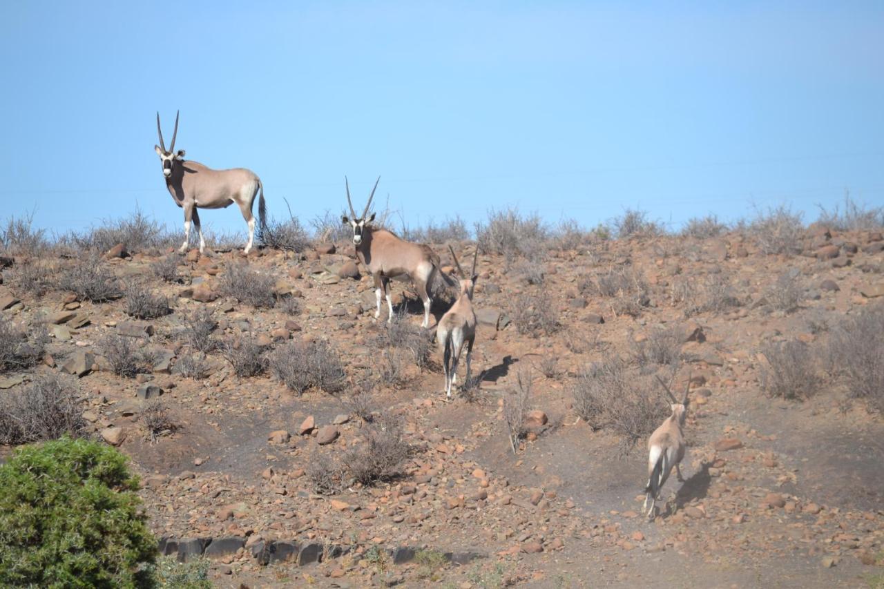 Teri-Lemveli Lodge Beaufort West Bagian luar foto