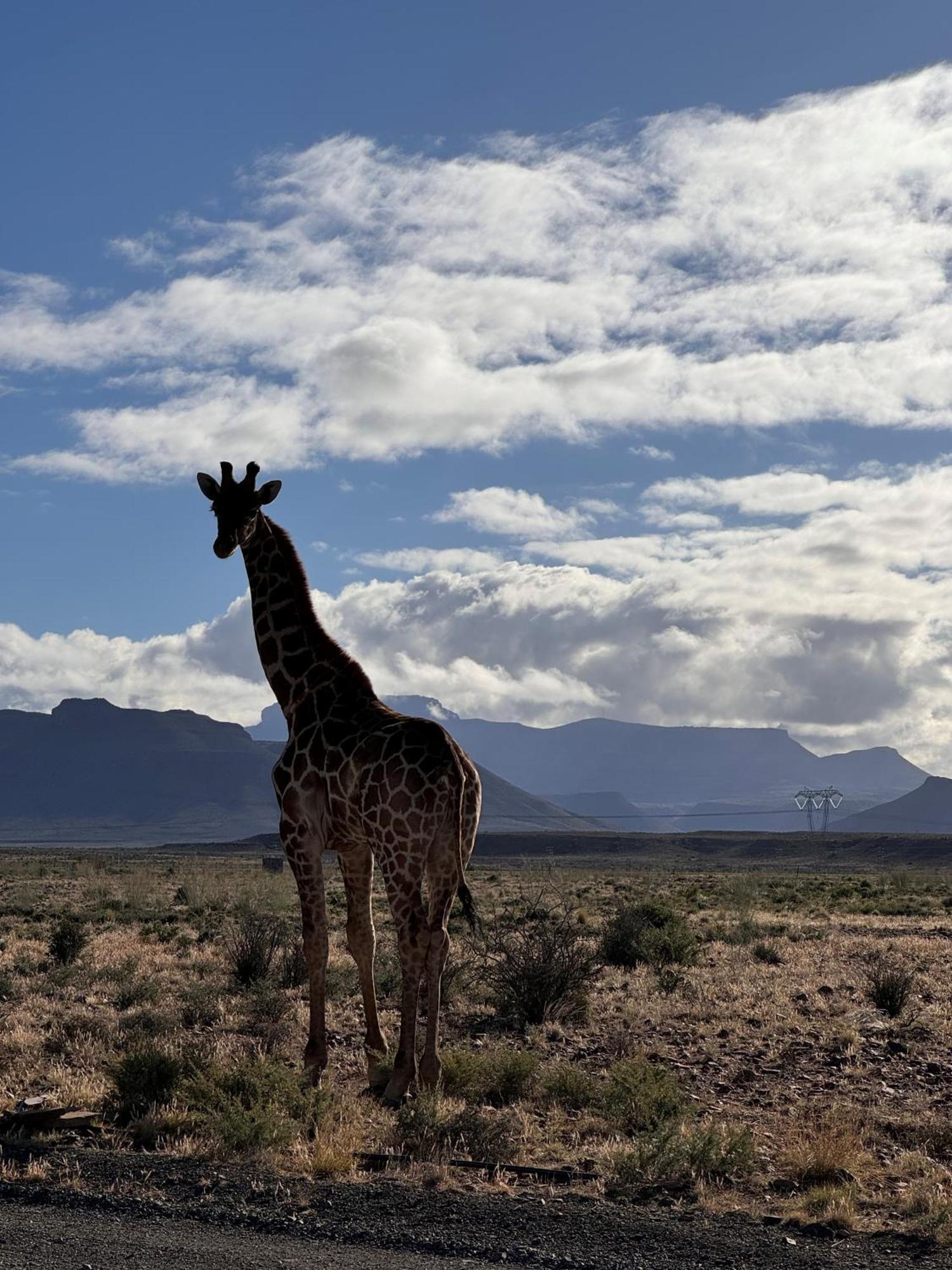 Teri-Lemveli Lodge Beaufort West Bagian luar foto