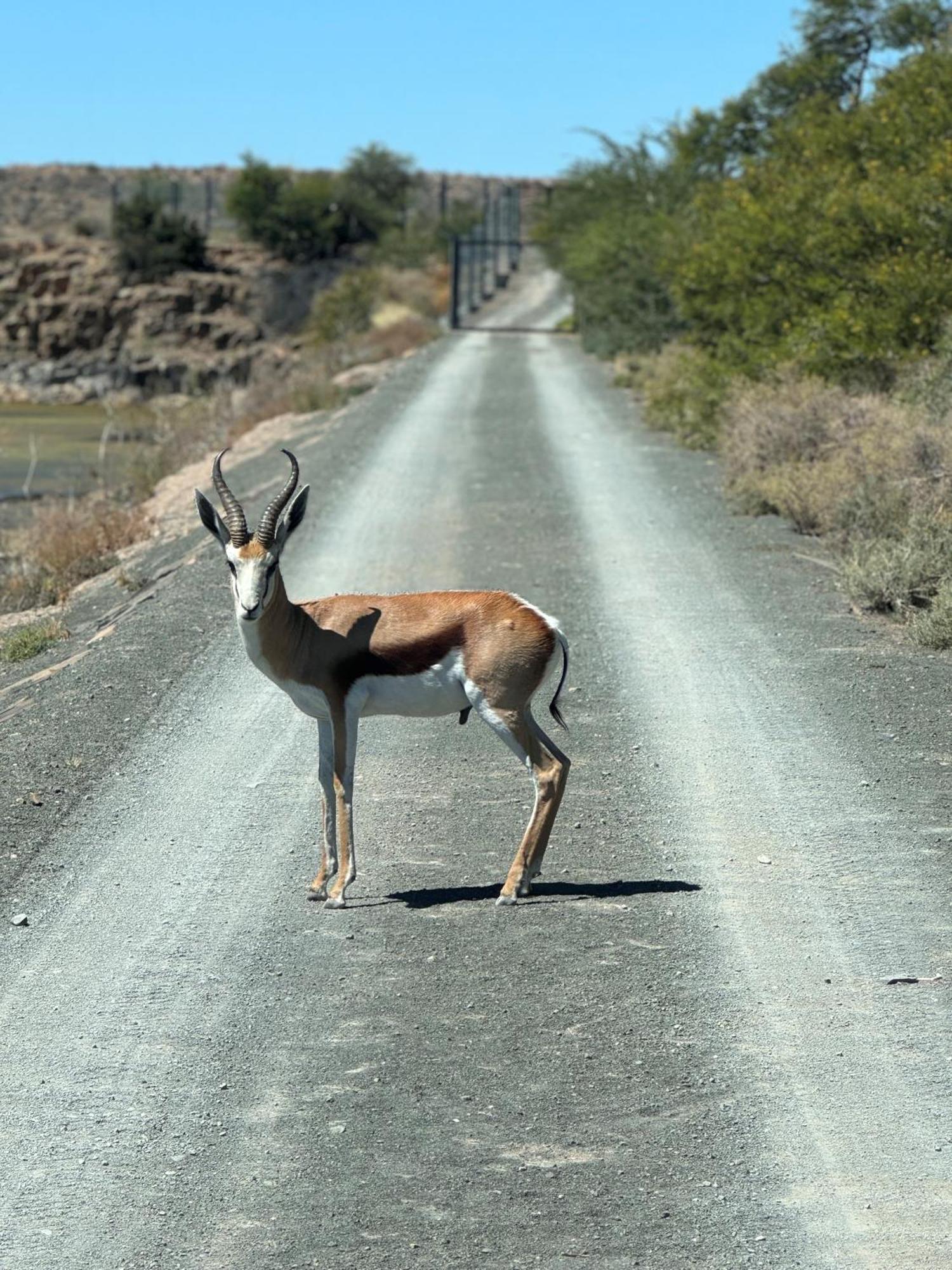 Teri-Lemveli Lodge Beaufort West Bagian luar foto