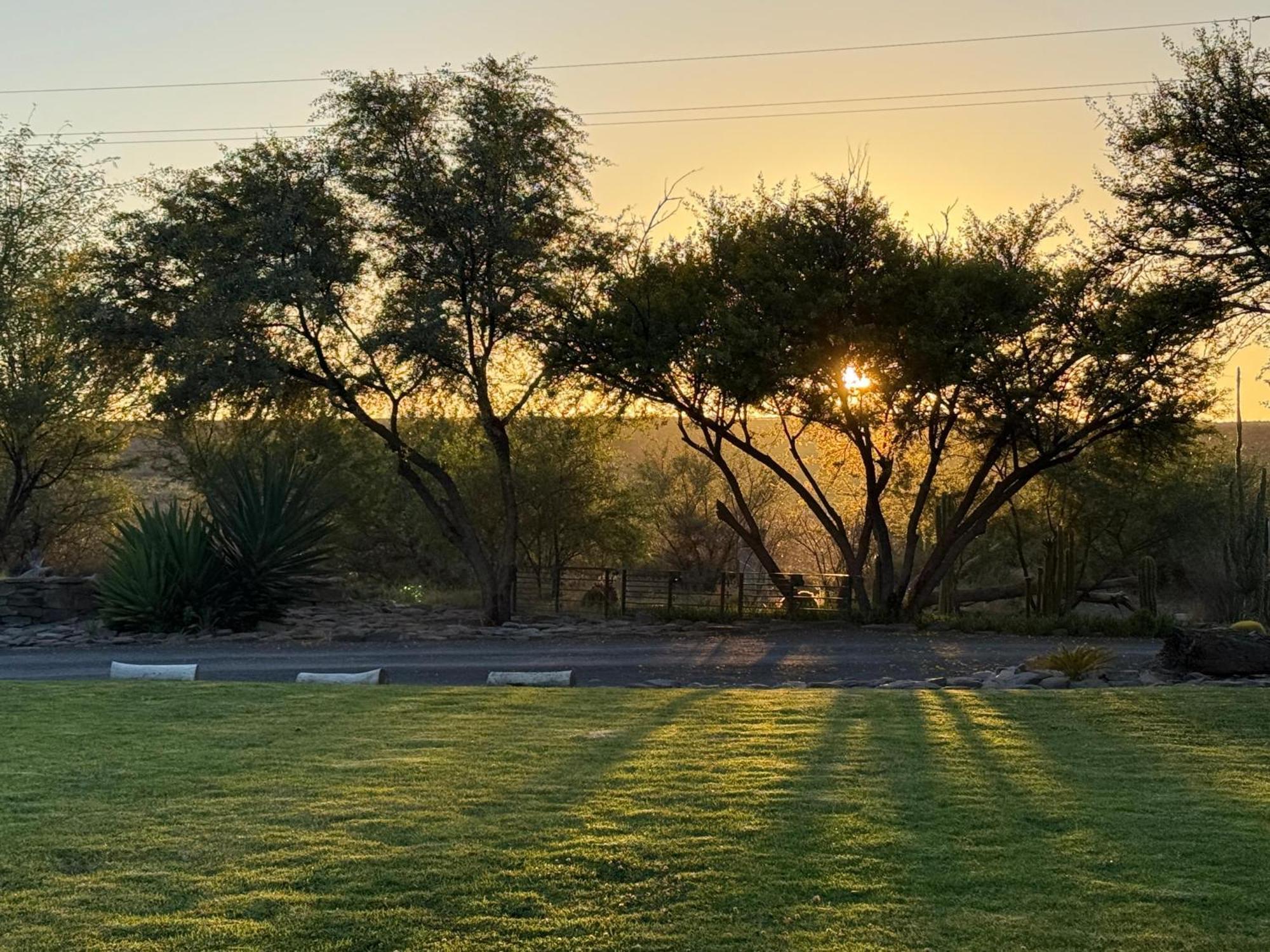 Teri-Lemveli Lodge Beaufort West Bagian luar foto