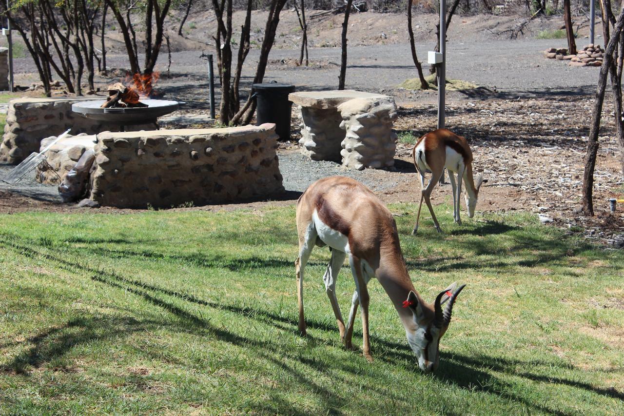 Teri-Lemveli Lodge Beaufort West Bagian luar foto